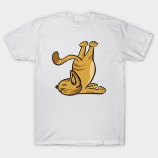 Cat In Different Yoga Poses T-Shirt